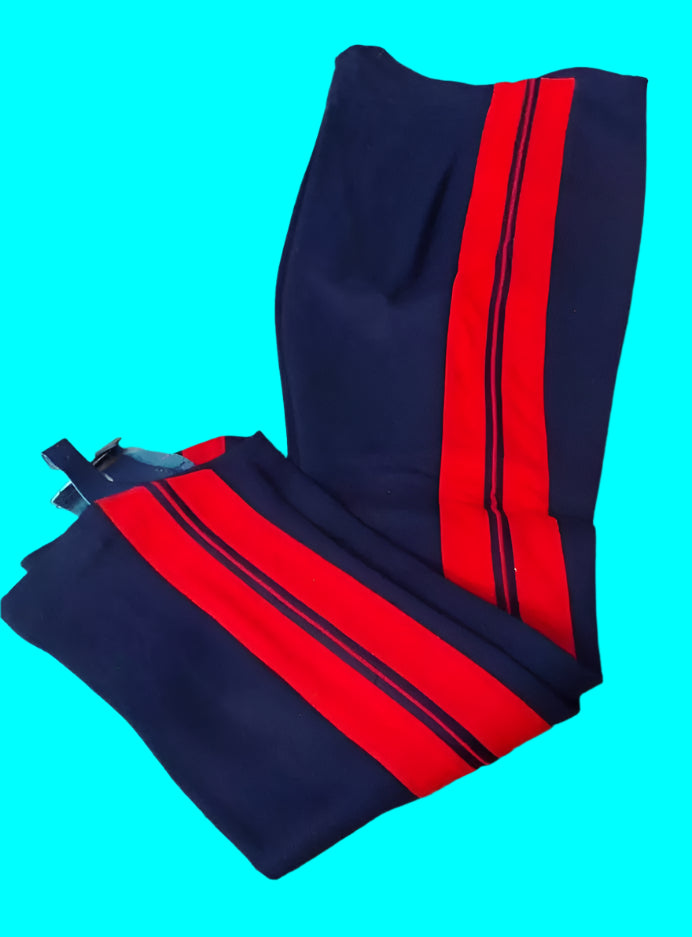 Household Cavalry Mounted Regiment Life Guards Ceremonial Blues Trousers
