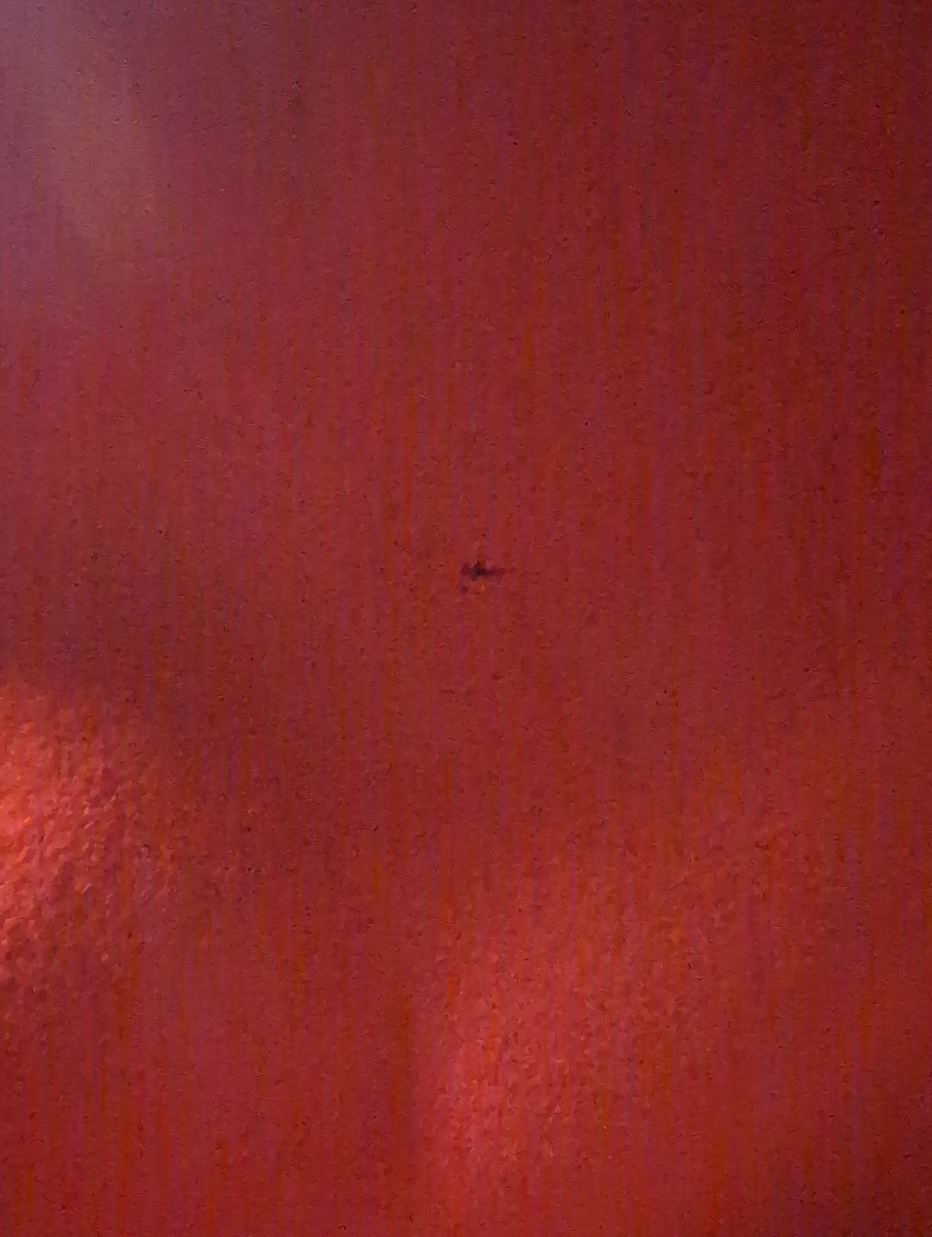 42" Reg Coldstream Guards Brigadier Officers Mess Dress Uniform Jacket ( our ref G153 )